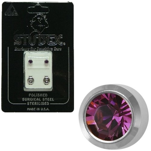 Birthstone Studs - Reg Bezel S/S - February / Amethyst